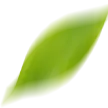 Star Shape
